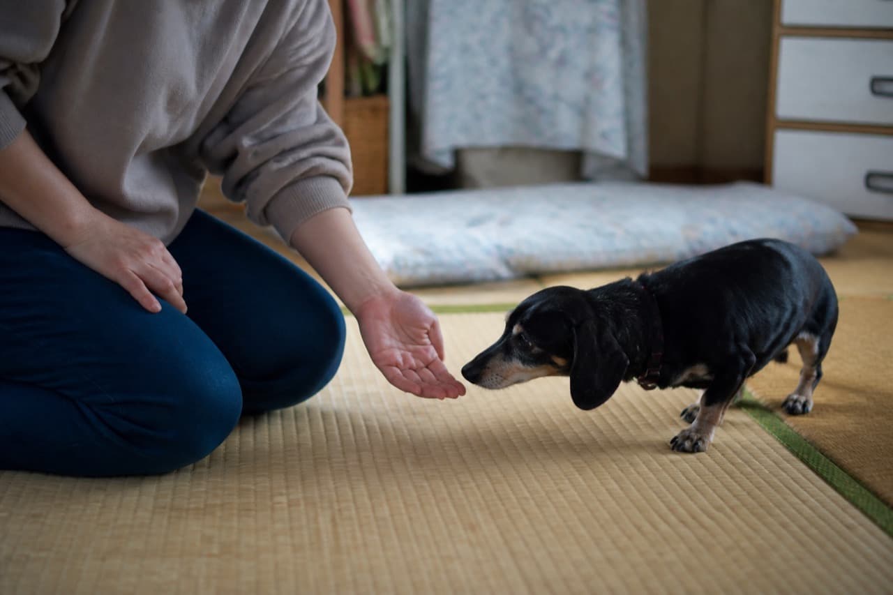 鼻先から、はじまる